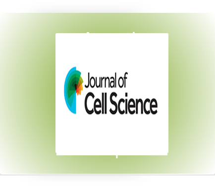 Maturation stage-specific V-ATPase disassembly explains the neutral pH of mature mucocysts...